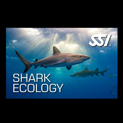 Shark Ecology